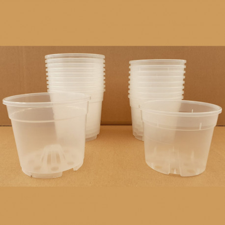 VASO CONTAINER TRASPARENTE 11 CM (TRASPARENT POT)