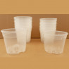 VASO CONTAINER TRASPARENTE 11 CM (TRASPARENT POT)