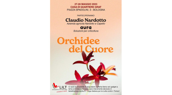 ORCHIDEE DEL CUORE