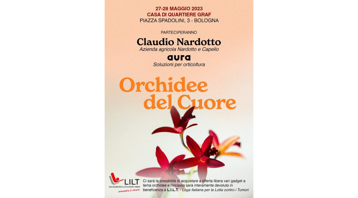 ORCHIDEE DEL CUORE